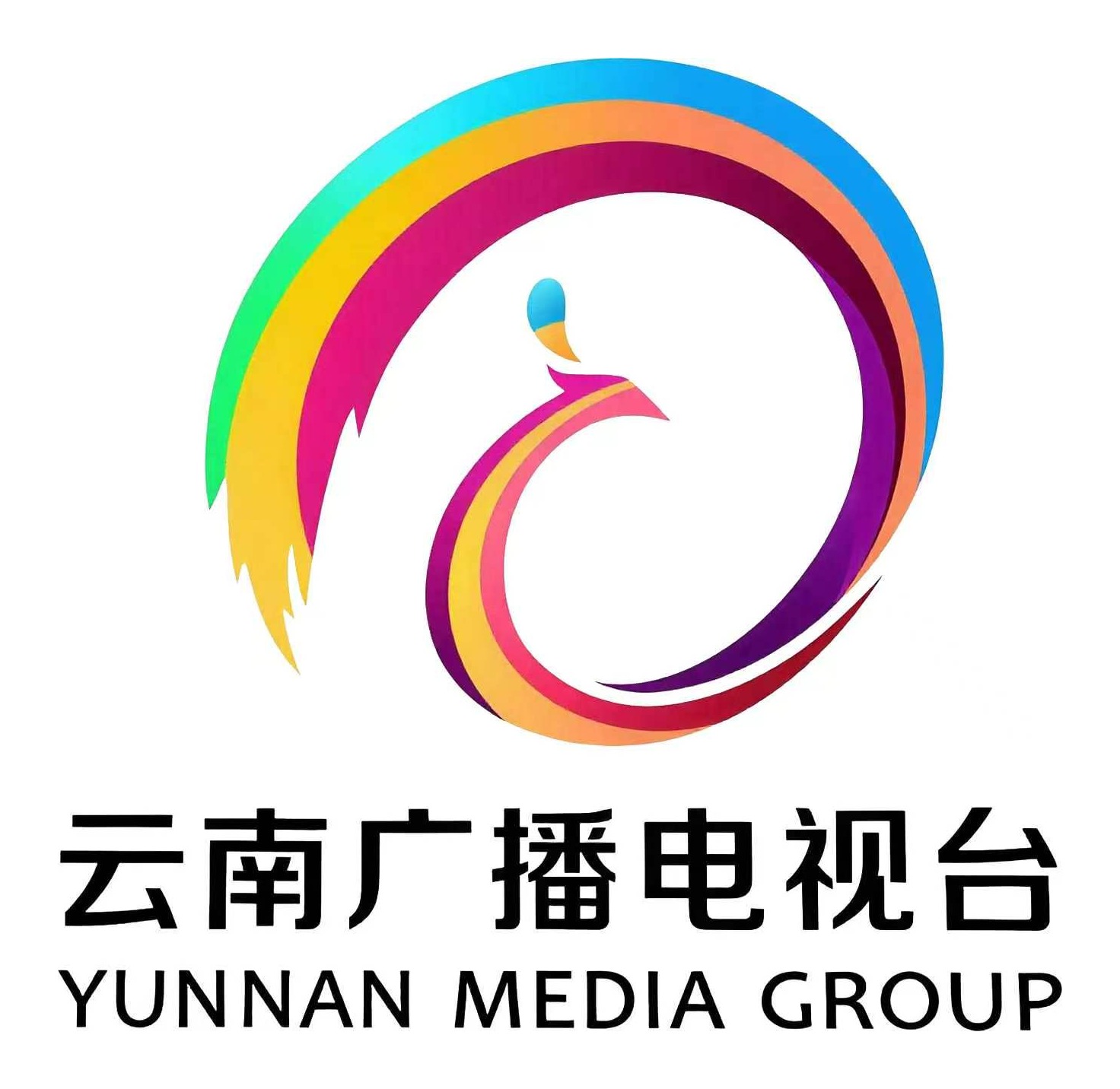云南广播电视台 YUNNAN MEDIA GROUP